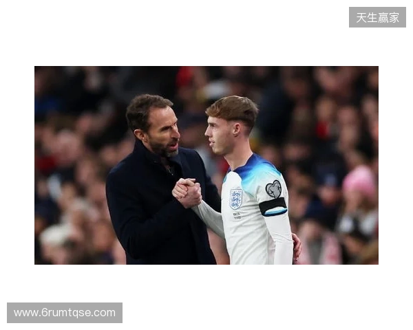 图赫尔谈10号位:一阶段考察帕尔默&福登;二阶段贝林&罗杰斯 图赫尔谈10号位:一阶段考察帕尔默&福登;二阶段贝林&罗杰斯